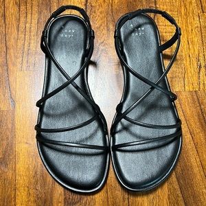 A New Day- Black Sierra Strappy Sandals, 8 1/2
